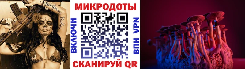 Галлюциногенные грибы Psilocybe Сегежа