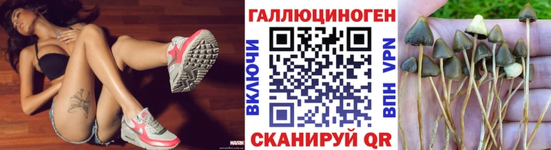 маркетплейс наркотические препараты цена наркотик Сегежа Псилоцибиновые грибы прущие грибы