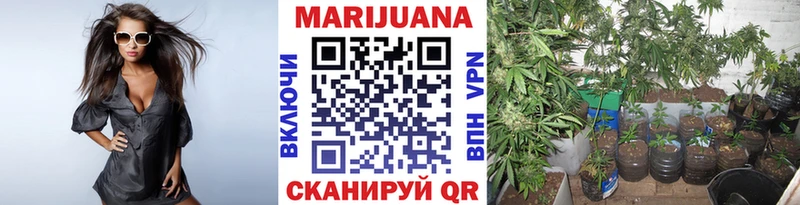 Каннабис тримм  Сегежа 